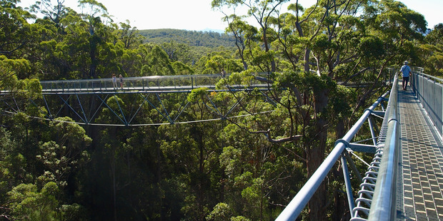 Gloucester Tree Lookout walkway, in Western Australia. Photo / Pamela Wade