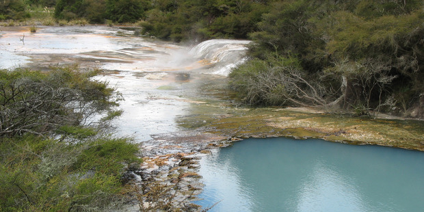 A mud rift in Rotorua's Waimangu Valley has suddenly erupted. Photo / File