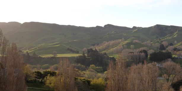 Havelock North farm, sold for $8m, subject to the OIO Overseas Investment Office. Photo / Duncan Brown