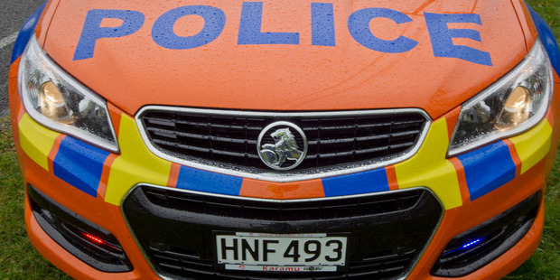 Police are looking for a young man who grabbed a woman while walking her dog in Napier.