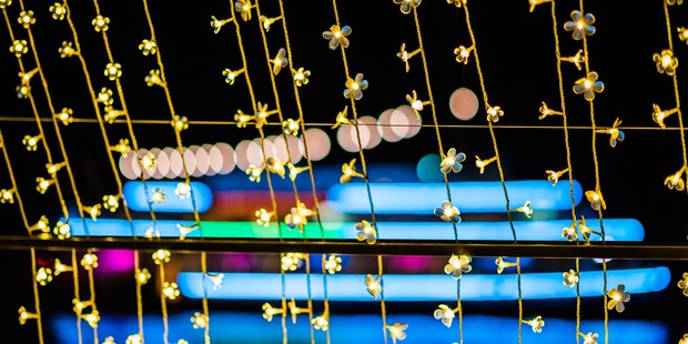 A crowd favourite from Vivid Sydney is Cathedral of Light. Photo / Destination NSW