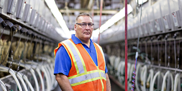 Mark Diederichs, general manager of Lake Breeze Dairy, in the milking parlor at the the company's dairy farm in Malone, United States. Photo / Daniel Acker