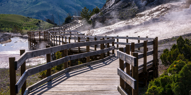 A Chinese tourist was caught walking off a boardwalk and collecting water in the Mammoth Hot Springs area. Photo / iStock