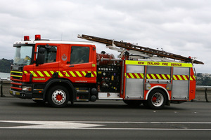 Firefighters battled bad weather to save two cats stuck up the same tree. Photo / File