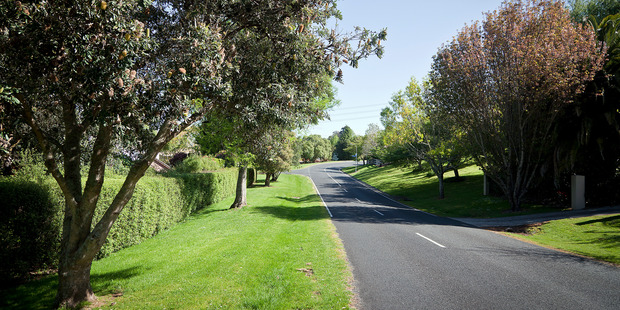 Timetable pressures have forced the Tauranga City Council to bypass normal tendering processes to prepare resource consents for the Smiths Farm Special Housing Area in Bethlehem.
