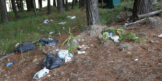 Rubbish dumped illegally at Hikurangi last year.