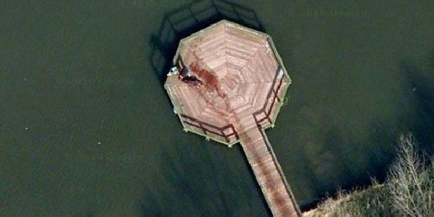 This image sent the internet into a spin when it appeared a murder had taken place. Image / Google