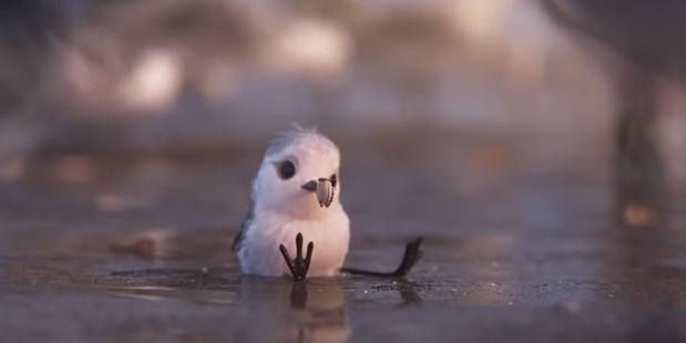 The wordless short follows a young bird who's forced by her mother to start collecting her own clams. Photo / Disney-Pixar
