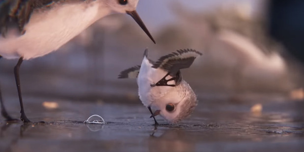 Both in terms of story and animation, Piper is one of Pixar's strongest shorts in recent memory. Photo / Disney-Pixar