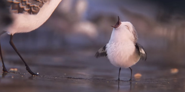 Technological advancements are rarely so emotionally satisfying. Photo / Disney-Pixar