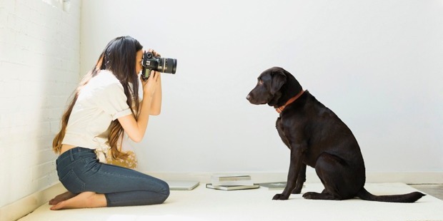 First it was cute kids, now pet pictures are taking over social media. Photo / Getty