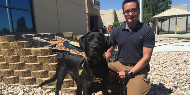 URL, Utah's first Electronic Detection K-9. URL is one of only nine certified ED dogs in the US. Photo / Facebook