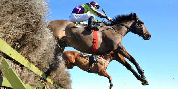 Michael Mitchell and Mr Mor in full flight. Photo / RACE IMAGES PNTH