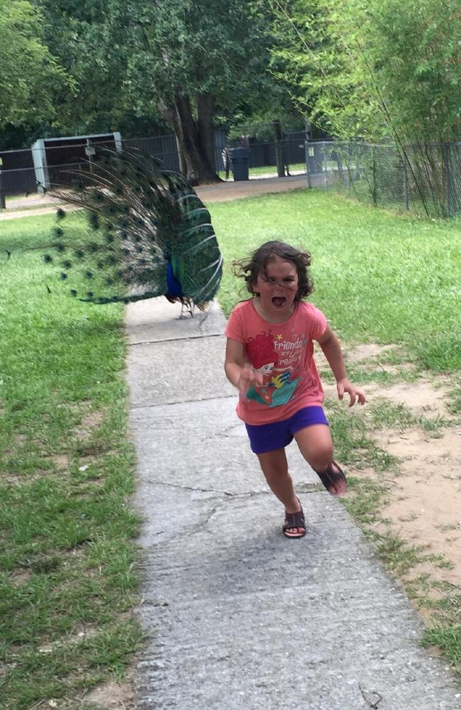 The original image. Photo / Reddit