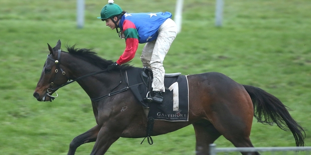 Mr Luigi and Sam Spratt bring home the bacon after a slip-up on the home bend. Photo / Trish Dunell