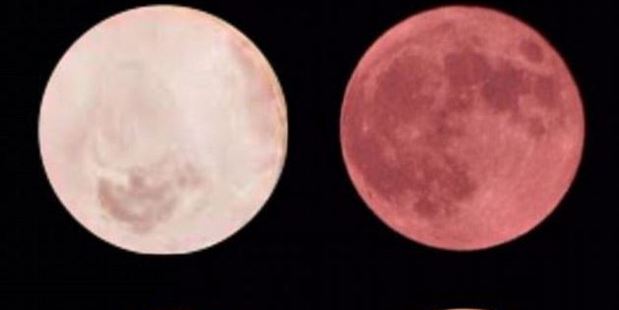 One is from space, the other can be found in your supermarket. Photo / Twitter, Tarakubo Mashiro