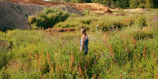 Wildflowers in a Development near Tauranga by Chris Corson-Wood.