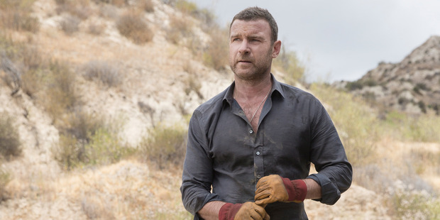 Liev Schreiber stars in Ray Donovan.