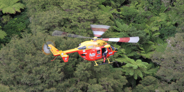 The driver, who's names has not been released yet, was flown to hospital last week after being cut out of the ute. Photo / Supplied