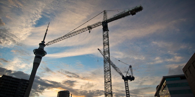 Construction and services firms were the most upbeat with a net 37 per cent and 36 per cent respectively expecting the economy to improve. Photo / Greg Bowker