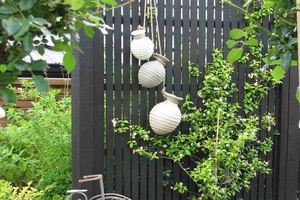 BACKDROP: Your garden can provide a background for your style. Photo/supplied
