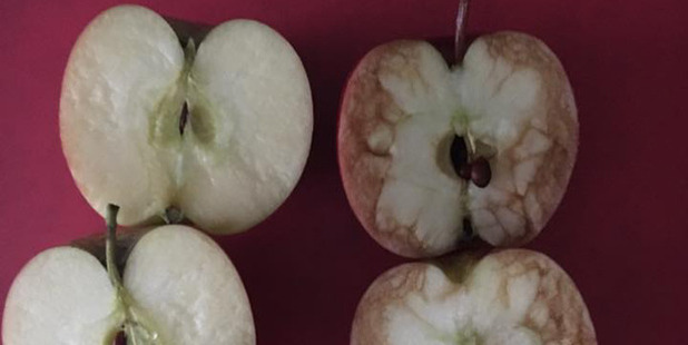 The teacher's clever lesson has gone viral on Facebook. Photo / Facebook / Relax Kids Tamworth