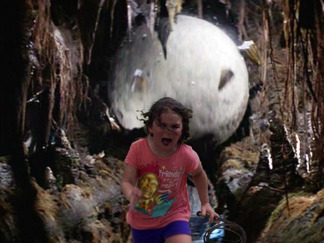 Running from the boulder in Indiana Jones. Photo / imgur