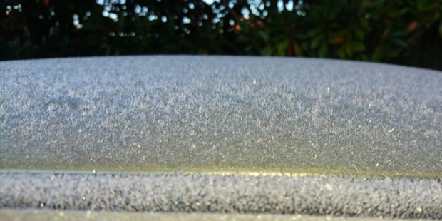 "So cold in Waitakeres my car has grown fur", one reader said. Photo / The Zame Family