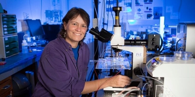 After scooping a prestigious global tech challenge in Silicon Valley, associate professor Cather Simpson took out the top honour at the KiwiNet Research Commercialisation Awards.