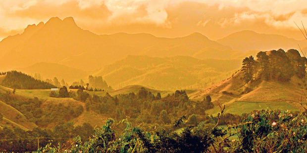 The beautiful colours of Coromandel. Photo / Tim Roxborogh