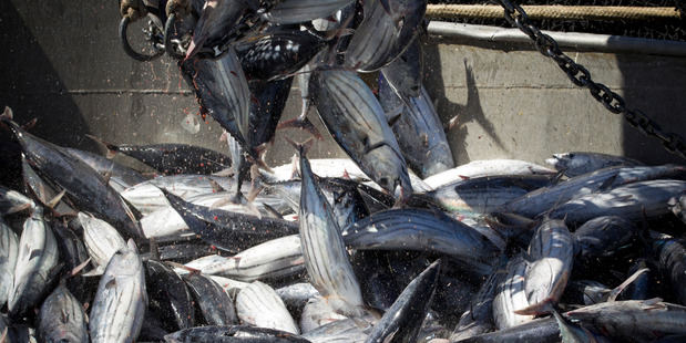 Seafood prices were up 8.2 per cent in June. Picture / Greg Bowker