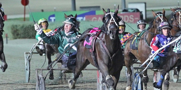 Speeding Spur is showing signs his injury may not be as severe as originally thought. Photo / Stuart McCormick