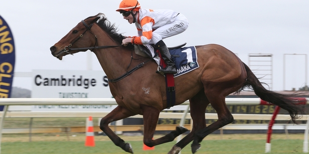 Candle In the Wind raced home to win at Ruakaka yesterday.