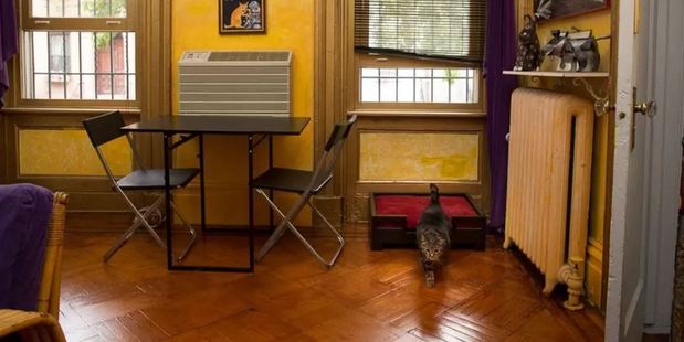 Photo / Airbnb