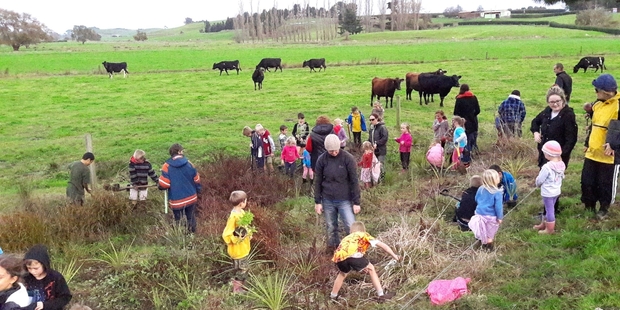 Tauwhare School students planting trees on dairy farmer Frank Portegys' Scotsman Valley Rd farm.