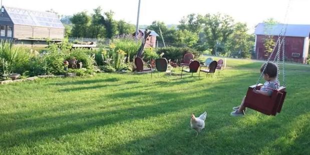 Circle M Market Farm Bed and Breakfast is home to sheep, goats, steers, chickens, ducks, dogs, hogs and cats. Photo / Airbnb
