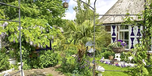 This old Dutch style B&B that has its own private terrace that overlooks cows grazing in the neighbouring field. Photo / Airbnb