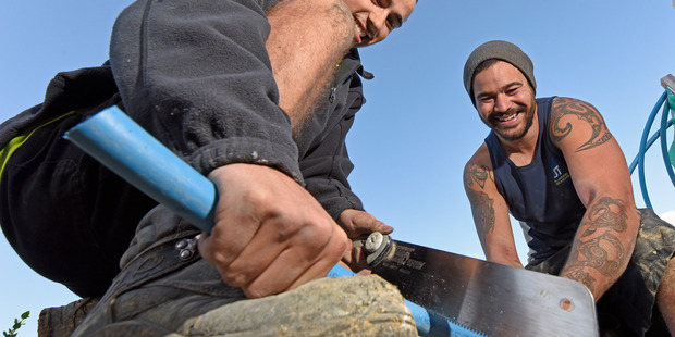ON THE JOB: Devon Beazley, left, started working for the company about three months ago while Jethro Habgood has been there about 18 months. PHOTO/GEORGE NOVAK