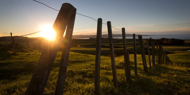 General view looking over farmland on Mahia Peninsula towards the ocean. Photo / Alan Gibson