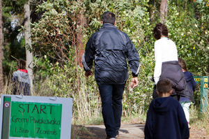 Emergency services are searching for a person who reportedly screamed after a tree was heard crashing in Te Mata Park.