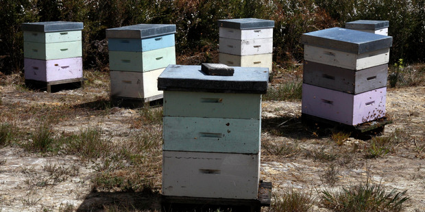 Theft of hives appears to be increasing in the Central Districts. Photo / File