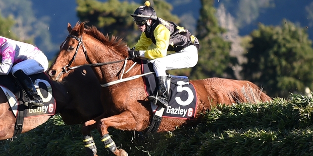 Matthew Cropp and Erik The Viking on their way to winning yesterday's Wellington Steeplechase. Photo / Race Images