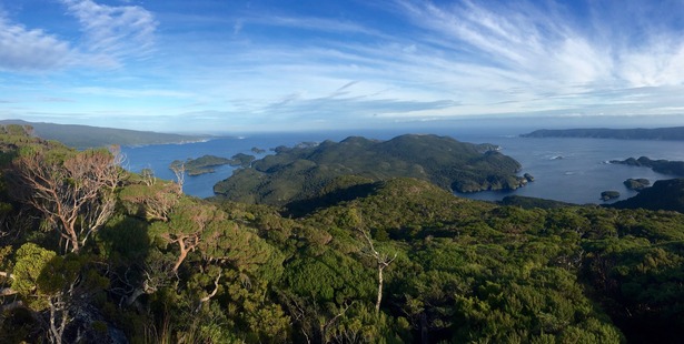 Anchor Island in Dusky Sound, southwest Fiordland, where the Department of Conservation moved its first kakapo in 2005 following the eradication of the island's stoats. Photo / Andrew Digby, DOC