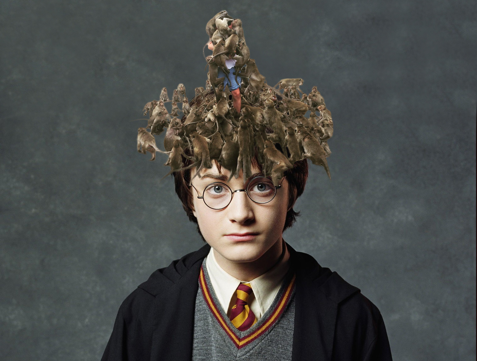 Международный день Гарри Поттера