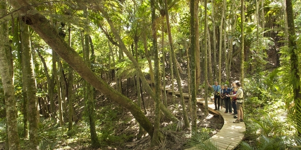 EcoZip nature walk, Waiheke Island. Photo / Supplied