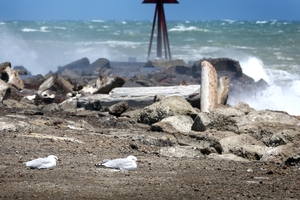 There were no boats fishing the windy Whanganui coast yesterday, Coastguard radio operator Pam Gilligan said. Photo / Bevan Conley