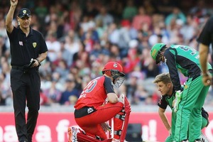 Adam Zampa ran out Peter Nevill using his nose in the Melbourne derby at Docklands Stadium. Photo / Getty Images.
