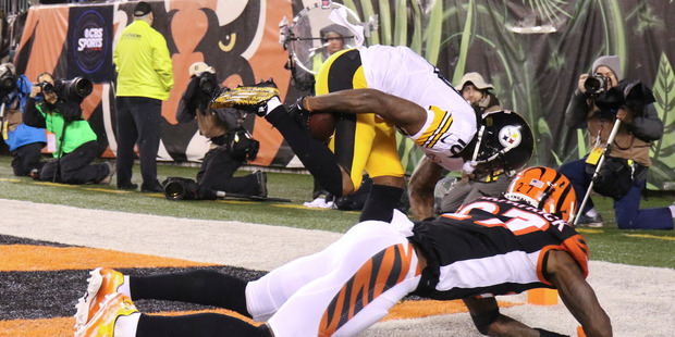 Pittsburgh Steelers' Martavis Bryant makes a remarkable touchdown reception. Photo / AP