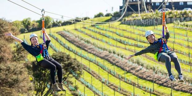 EcoZip on Waiheke Island. Photo / Supplied