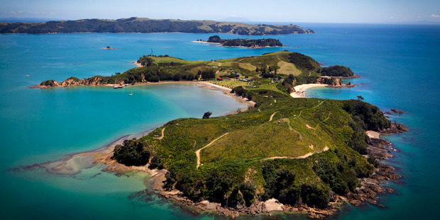 Rotoroa Island in Auckland's Hauraki Gulf Marine Park. Photo / Natalie Slade